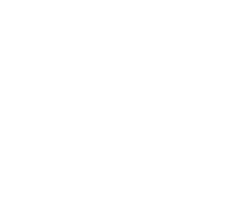 Zenith